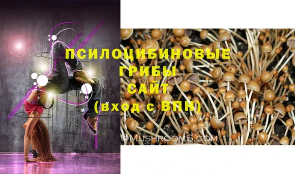 меф Алексин